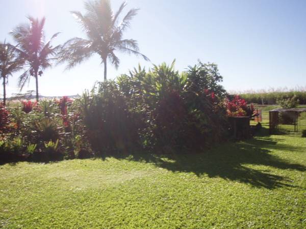 BEST VALUE Picture 3