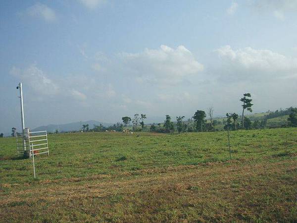 LUSH PASTURES AND GREAT HOME SITES Picture 2