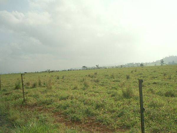 LUSH PASTURES AND GREAT HOME SITES Picture 1