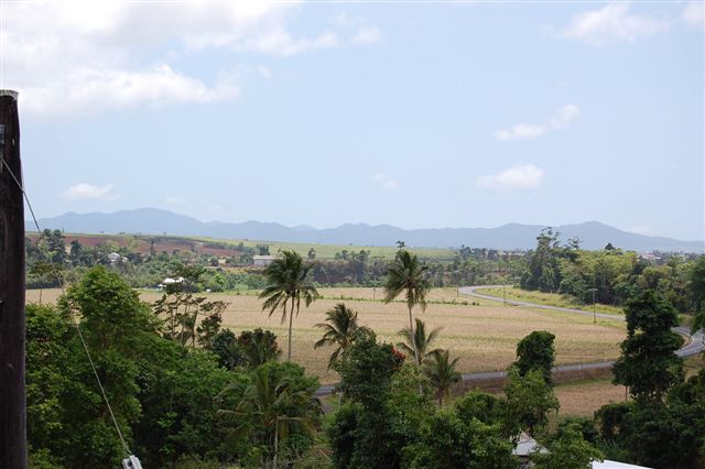 Country Living Picture 1