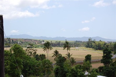 Country Living Picture