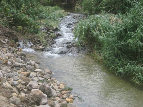 Country Comforts so close to Town Picture 1