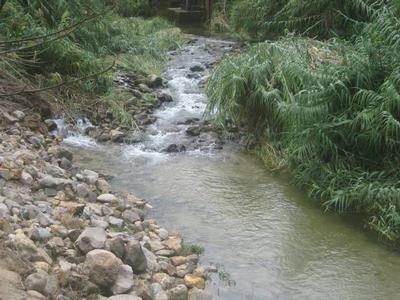 Country Comforts so close to Town Picture