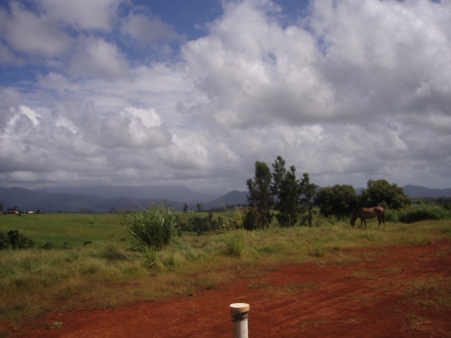 Country Views Picture 1