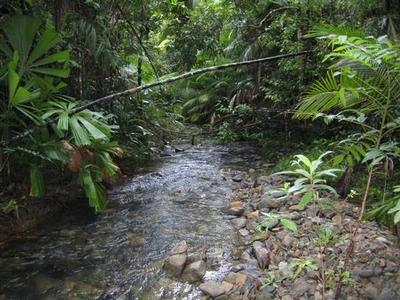 100 ac. OF VERY SECLUDED RAINFOREST AND CREEKS, 50min. SOUTH OF CAIRNS Picture