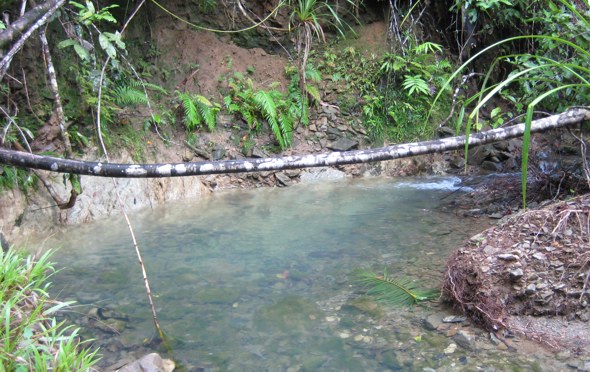 100 ac. OF VERY SECLUDED RAINFOREST AND CREEKS, 50min. SOUTH OF CAIRNS Picture 3