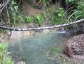 100 ac. OF VERY SECLUDED RAINFOREST AND CREEKS, 50min. SOUTH OF CAIRNS Picture