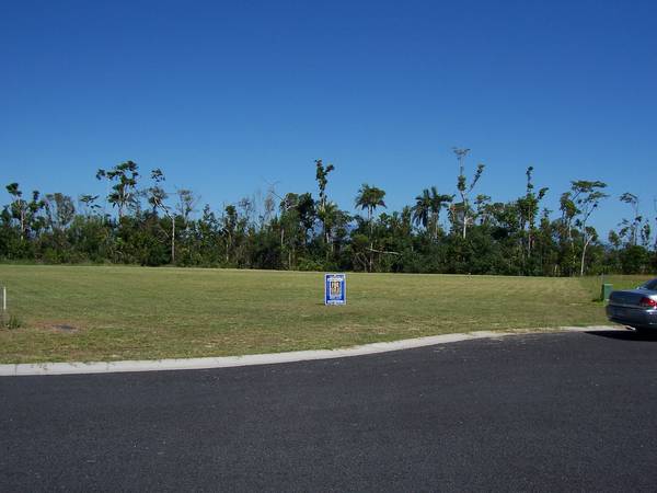 PRICE SLASHED
.....
BARGAIN Picture 1