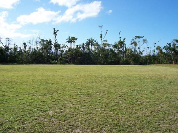 PRICE SLASHED
.....
BARGAIN Picture 2