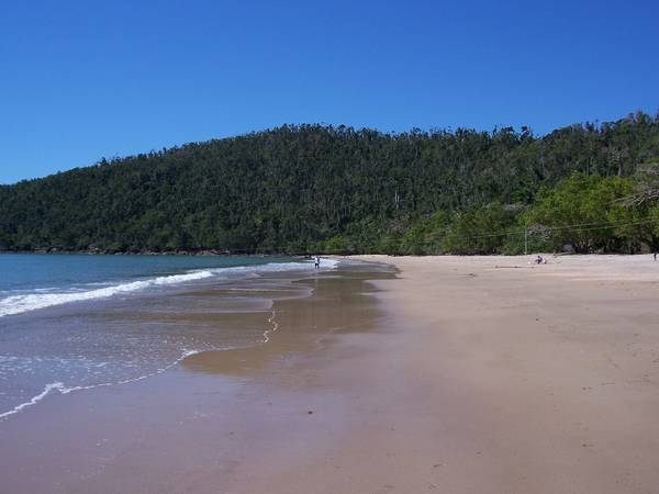 PRICE SLASHED
.....
BARGAIN Picture 3