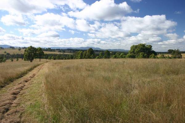 1312 SUNNYSIDE LANE Picture 3