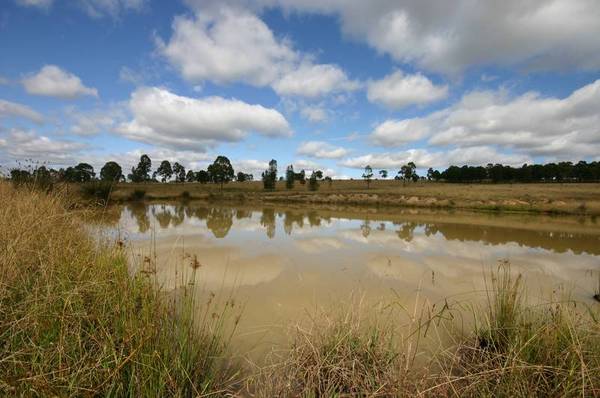 1312 SUNNYSIDE LANE Picture 1