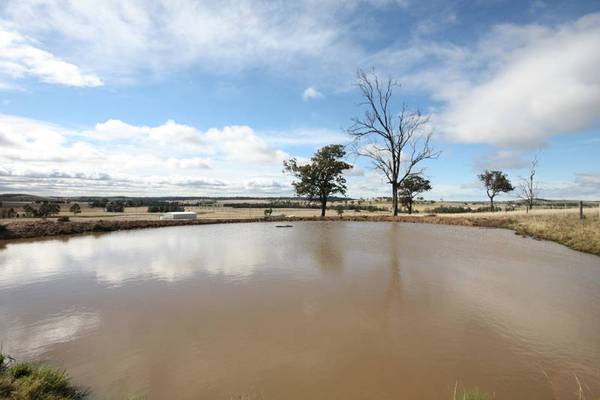 RURAL LIFESTYLE Picture 2