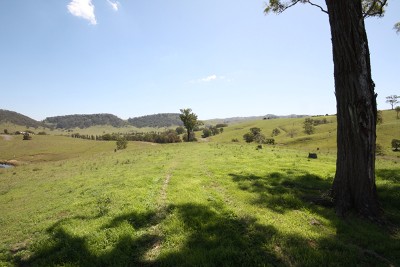 MIRANNIE GRAZING BLOCK - 375 ACRES Picture