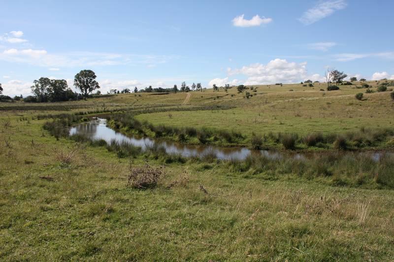 VACANT 250 Acres (101.2 Ha) - RIVER FRONTAGE IN GREAT POSITION Picture 3