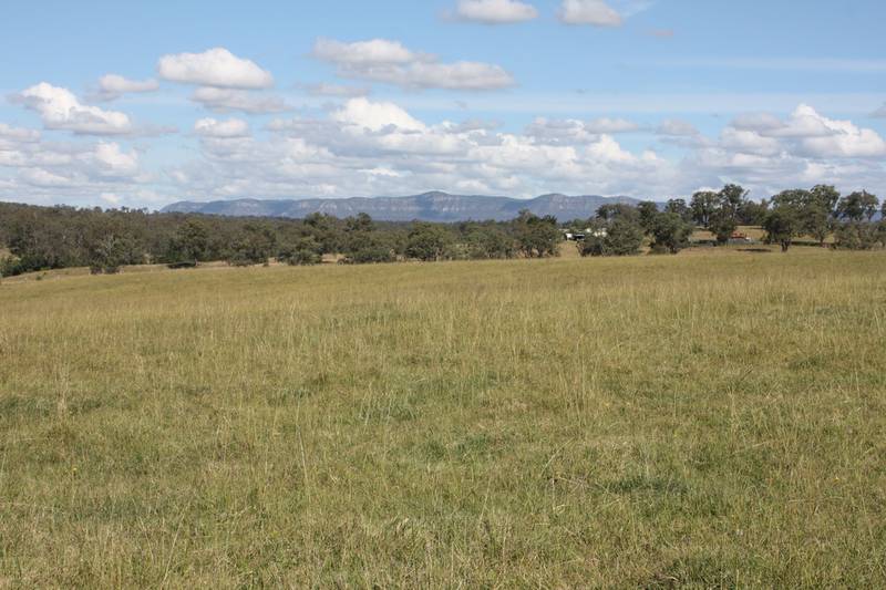 VACANT 250 Acres (101.2 Ha) - RIVER FRONTAGE IN GREAT POSITION Picture 2