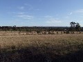 VACANT RURAL BUILDING BLOCK Picture