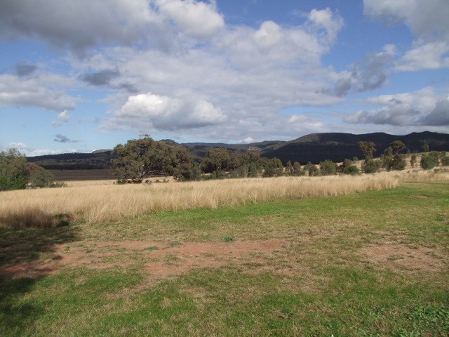 JERRY'S PLAINS Picture 1