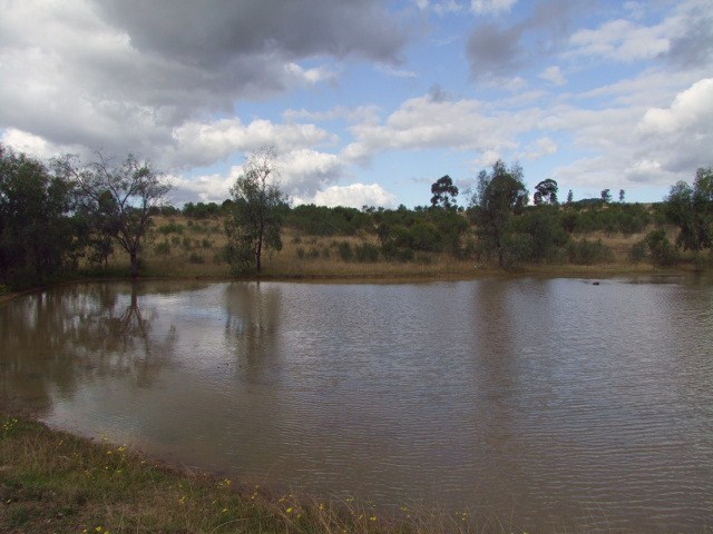 JERRY'S PLAINS Picture 3