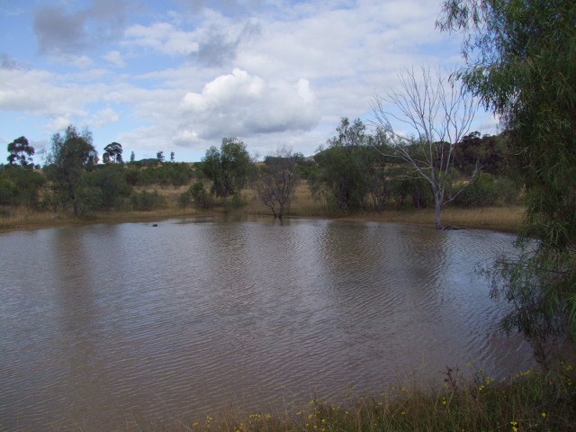 JERRY'S PLAINS Picture 2