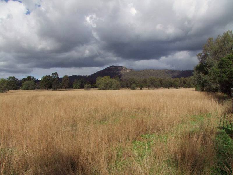 JERRYS PLAINS GRAZING BLOCK Picture 2
