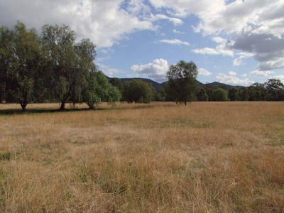 JERRYS PLAINS GRAZING BLOCK Picture