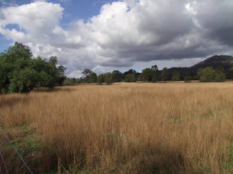 JERRYS PLAINS GRAZING BLOCK Picture 3