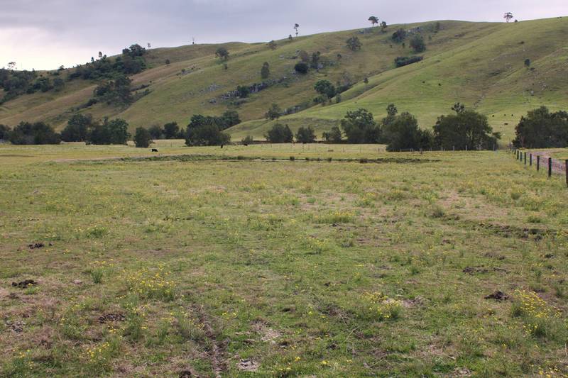 15 ACRES & CREEK FRONTAGE Picture 2
