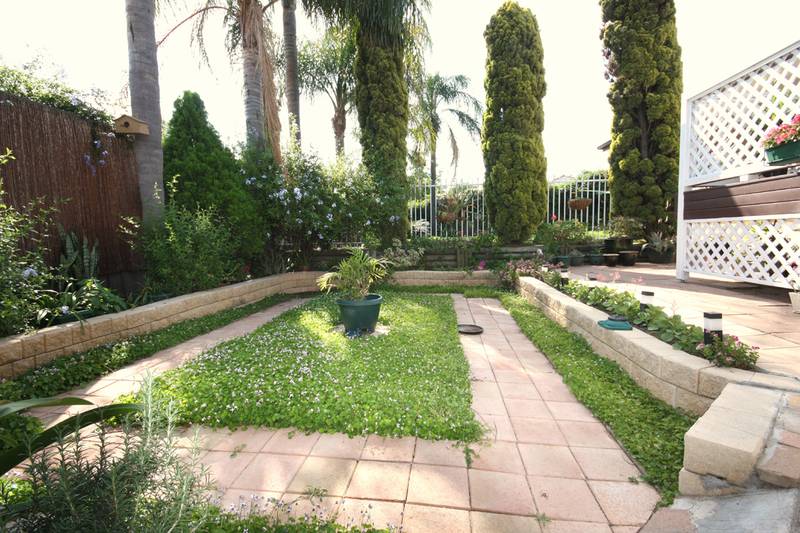 A CUT ABOVE THE REST Picture 3