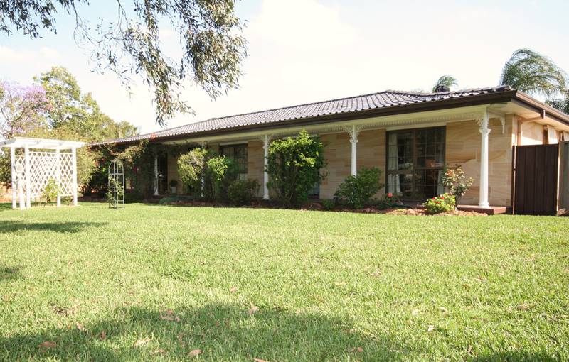 A CUT ABOVE THE REST Picture 1