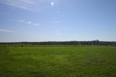 TOWN SETTING Picture