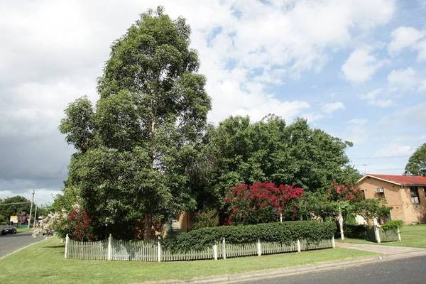 QUIET TOWN POSITION Picture 1