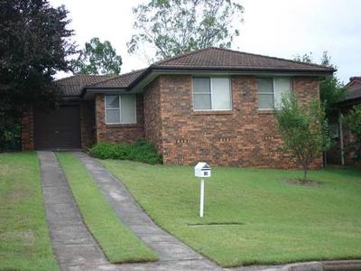 IDEAL STARTER Picture