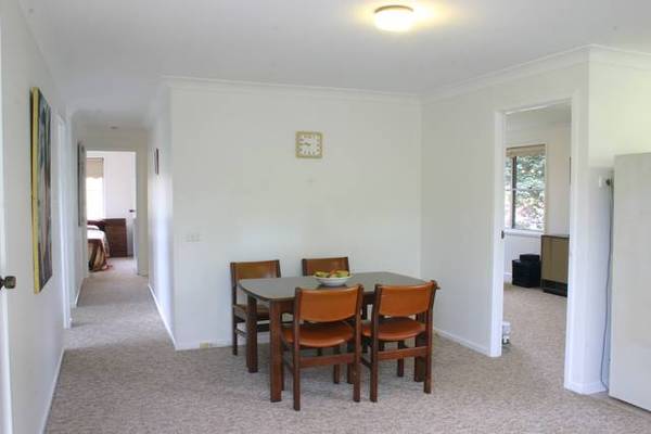 IDEAL STARTER Picture 3