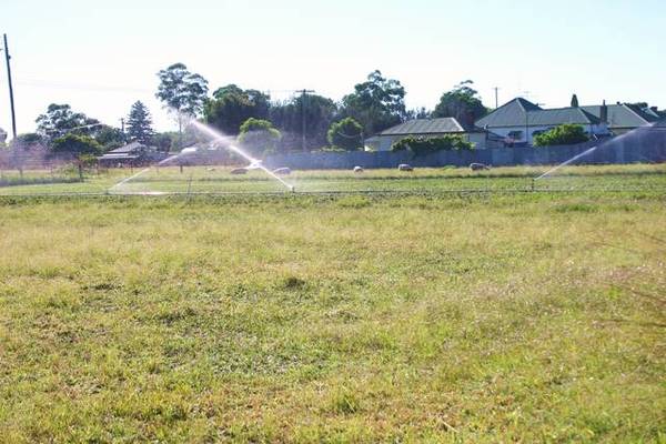 FARMING LAND IN TOWN Picture 1