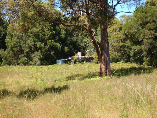 A La Natural Picture 1