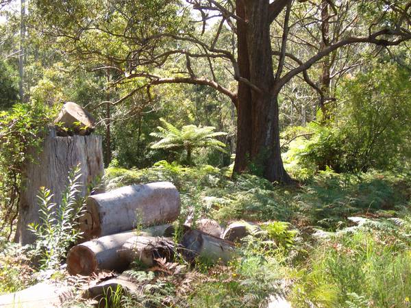 A La Natural Picture 3