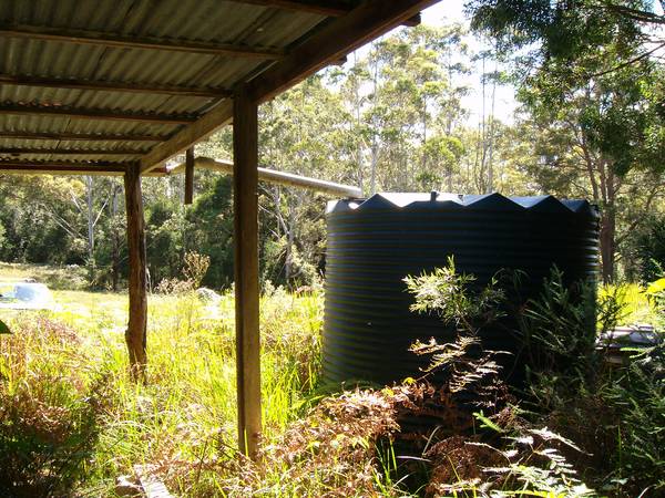 A La Natural Picture 2