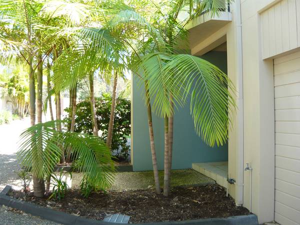 Prestige Apartment With Amazing Views Picture