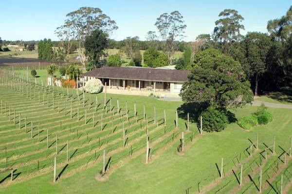 Lifestyle - Vineyard - Boutique Winery Picture 2