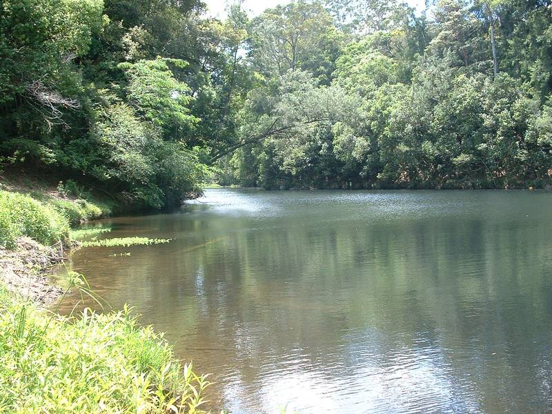 Panoramic Orara River Frontage Picture 2