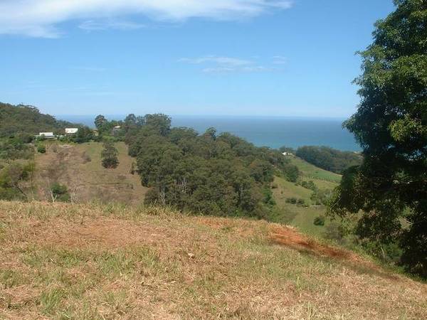 A Vision Splendid Picture 2