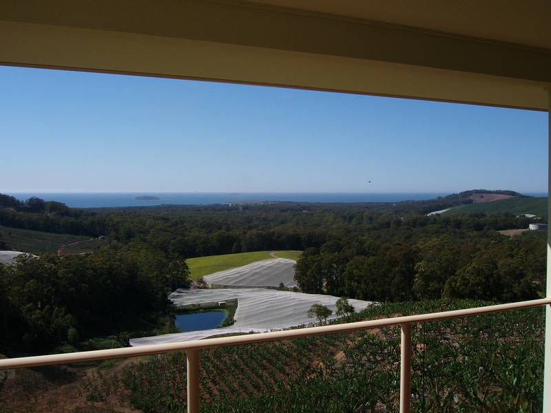 Panoramic & Sensational! Picture 2