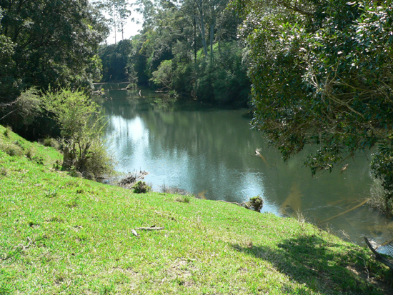 Orara River Flats Picture 3