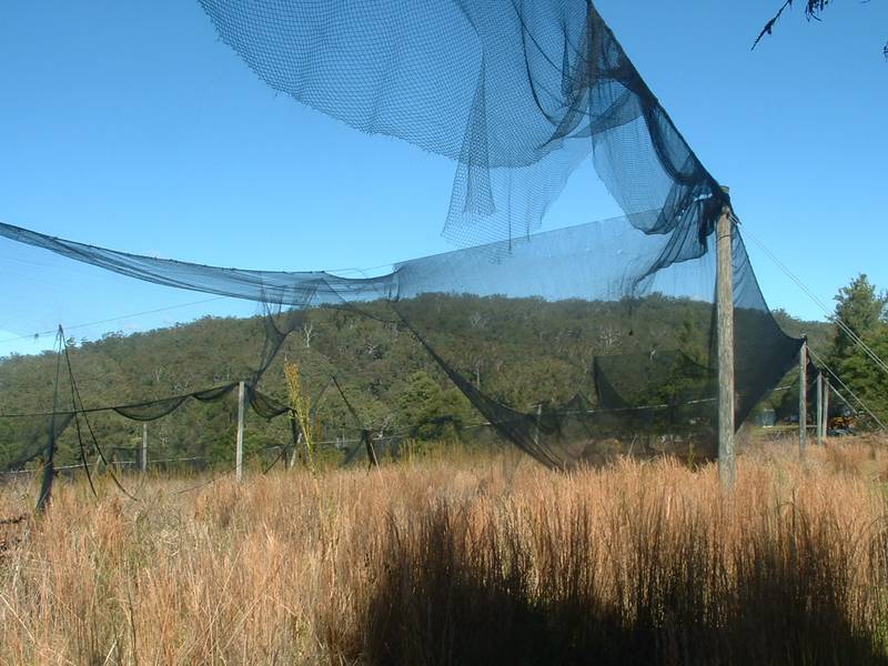 Land At Lanitza Picture 2