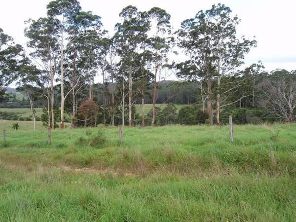 Cattle Country Picture 1