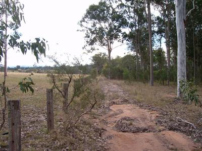 Lanitza Bush Block Picture