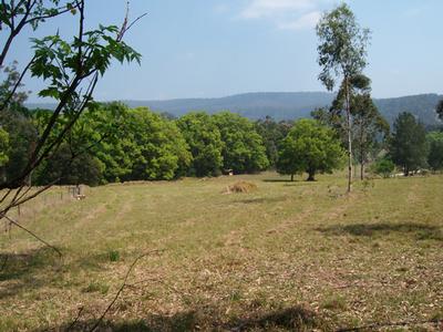 Country Cottage Picture