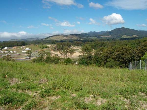 Start With A Blank Canvas Picture 2