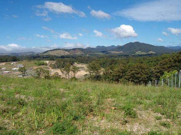 Start With A Blank Canvas Picture 1